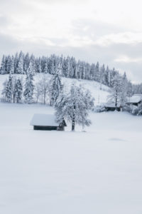 winter in Slovenia