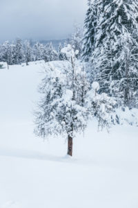 snow in Slovenia